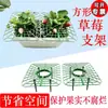 Suporte para Morango Bandeja Quadrada Suporte Anti-Queda Fruta em Vaso Planta Verde Emenda Anti-Podridão Podridão das Folhas Suporte para Pomar Jardinagem