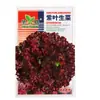 Sementes de alface roxa, sementes de vegetais, sementes de alface roxa no atacado, alface roxa Rosa Red Coral, vegetais para salada.