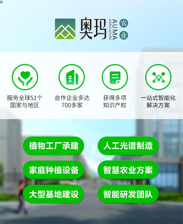 详情图_01