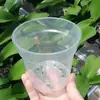 Copo para Mudas Copo Rígido Pote de Plástico Transparente Pode Observar Raiz de Orquídea Phalaenopsis Planta Verde Vaso para Flores de Orquídea