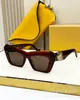 LOE Gafas de Sol Clásicas de Moda Ojo de Gato Placa de Alta Calidad Transfronterizas Luz de Lujo Anti-ultravioleta para Mujer LW40036I