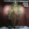 Simulación caballo borracho ventana de madera paisajismo planta interior planta verde biónica de alta gama árbol decorativo árbol falso grande paisaje simple