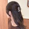 Nuevo y Elegante Pasador Grande para el Cabello 2026 para Mujeres con Cabello Grueso, Pinza de Tiburón de Alta Gama para el Cabello, Accesorio para la Parte Posterior de la Cabeza