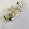 Nueva flor de campana azul de cola de Fénix, simulación de flores, decoración de bodas, hotel, decoración del hogar, flores falsas, accesorios de fotografía transfronterizos