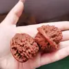 Brinquedos de Noz para Artesanato, Brinquedos de Noz de Barraca de Rua, Peças de Mão, Brinquedos de Noz Combinados para Treinamento de Mãos