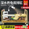 Aquário de Vidro para Tartarugas para Uso Doméstico na Sala de Estar, Tanque de Criação Universal com Plataforma para Tomar Sol, Aquário Ecológico Paisagístico para Peixes Pequenos, Tanque de Criação Mista para Peixes e Tartarugas