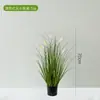 Plantas Verdes Simuladas, Capim-dos-pampas de Alta Qualidade, Capim-cauda-de-cachorro, Enfeites para Sala de Estar, Árvores Artificiais, Decoração de Interiores, Plantas Macias