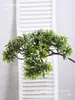 Pino Ciprés Luohan Real Tu Shan Xian Bai Árbol Falso Hojas de Plástico Pino de Bienvenida Materiales Ramas de Ciprés de Acantilado Fábrica de Bonsáis