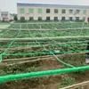 Rede de Treliça para Plantas Maracujá Bucha Cabacinha Pendurada Uva Pepino Flores Rosa Verduras e Frutas Crisântemo Rede de Treliça Rede de Plantio