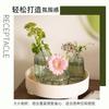 Vaso Mini de Grão Vertical Vaso Criativo Estilo Ins Cor Alta Vidro Transparente Ornamentos para Arranjo de Flores Conjunto de Vasos Pequenos