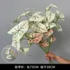 Flores Artificiais Verdes, Arte Floral, Capim-dos-pampas, Arranjo de Flores para Casamento, Decoração, Adereços para Janela de Sala de Estar Interna, Pinheiro Grande e Gordo