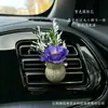 Planta de Fruta Natural Flor Seca Ambientador de Coche Decoración de Rejilla Difusor de Gama Alta Regalo para Coche Fragancia para el Interior del Coche