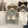 Novo Top Esportivo Liso Estilo Doce com Alça Costas Bonitas para Mulheres Anéis Internos sem Argolas de Aço Roupa Externa com Bojo Roupa Íntima para Mulheres