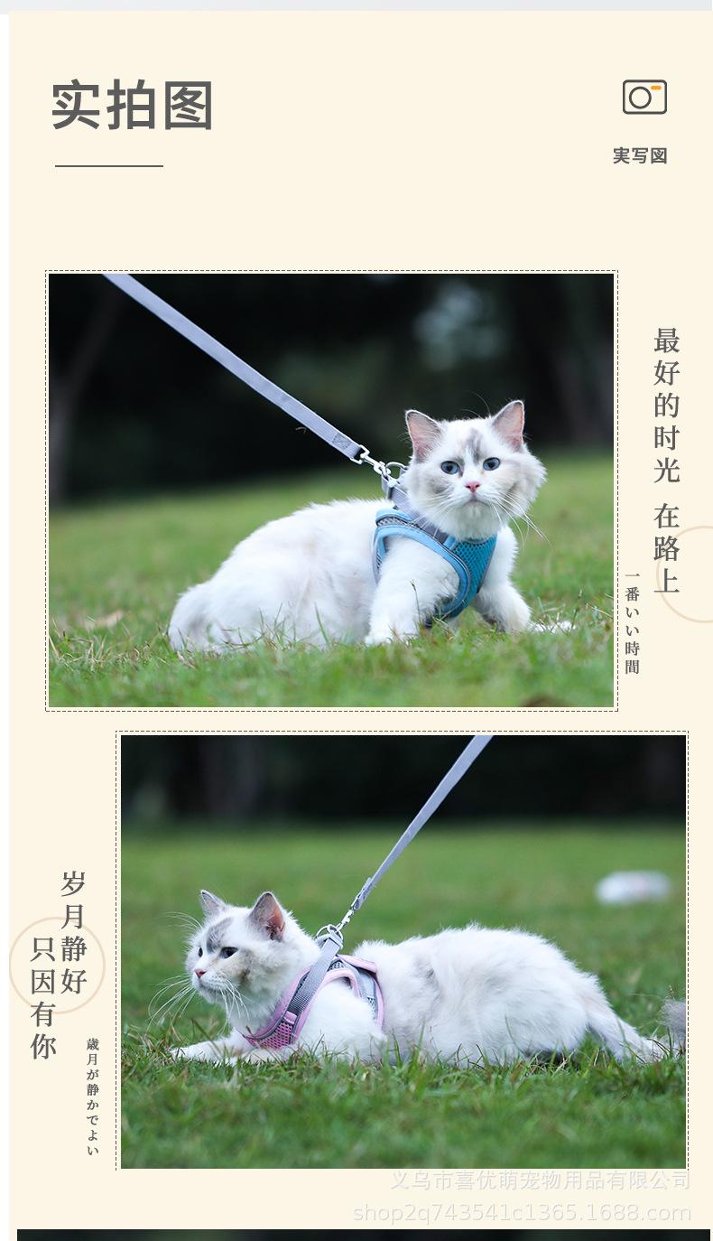 详情-1_11.jpg