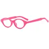 Gafas de Gato Lectoras para Mujer Nueva Moda Versátil Estilo Callejero Lente Transparente Montura Ovalada Retro Transfronteriza Europea Americana