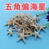 Estrellas de Mar Naturales Materiales Hechos a Mano DIY Adornos Decorativos Adornos Colgantes Estrella de Mar Plana de Cinco Puntas