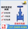 Válvula gaveta haste ascendente de ferro fundido dúctil com vedação de assento elástico Guangdong - Válvula gaveta haste ascendente de vedação macia (corpo pequeno)