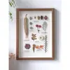 Porta-Retrato de Flores Secas Feito à Mão, Pintura Decorativa com Espécimes de Plantas, Parede de Fotos, Educação Científica Infantil, Sementes e Insetos, Arte de Parede Artística, Pintura de Parede