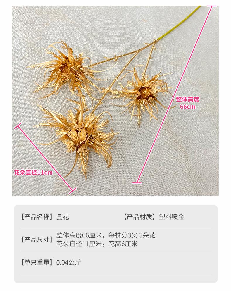 县花产品参数.jpg