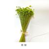 Flor Seca DIY Aromaterapia Difusor de Fragancia Accesorios Ratán Botella Vacía Adornos Varillas de Fibra Difusora Set de Fragancia
