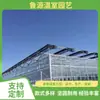 Proyecto hidropónico de invernadero de vidrio, invernadero inteligente de cultivo sin suelo, construcción y contratación de instalaciones agrícolas