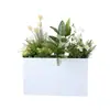 Caja de flores decoración flores y plantas arreglo floral producto terminado adorno de planta verde venta de restaurante oficina mampara canaleta de flores paisajismo biónico