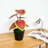 Planta Verde de 6 Piezas Mini Planta en Maceta 3D Planta Artificial de Escritorio Bonsái Parque Patio Micro Paisaje Decoración de Flores Artificiales