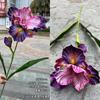 2025 Nochevieja Fábrica de Flores eva2 Estilo Jardín de Iris Boda Suave Decoración para el Hogar Flor Artificial al por Mayor
