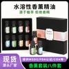 Conjunto de óleos essenciais de aromaterapia transfronteiriço desodorante ambientador fragrância de menta especial para carro perfume para carro óleo essencial