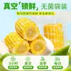 5 jin de milho doce de Yunnan pronto para comer direto da embalagem, fresco, doce e crocante, embalado a vácuo, com gordura e calorias reduzidas, especial para o café da manhã, não requer cozimento