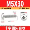 Tornillos Autorroscantes Phillips Cabeza de Lenteja de Acero Inoxidable 304 Clavos Autorroscantes Cabeza de Lenteja PA Tornillos de Rosca para Madera M1M2M3M4M5-M8