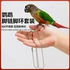 Guia de papagaio não machuca os pés pássaro uso anel de pé externo corda de liberação Mico Myna Xuanfeng tornozeleira corda de caminhada de pássaro artefato
