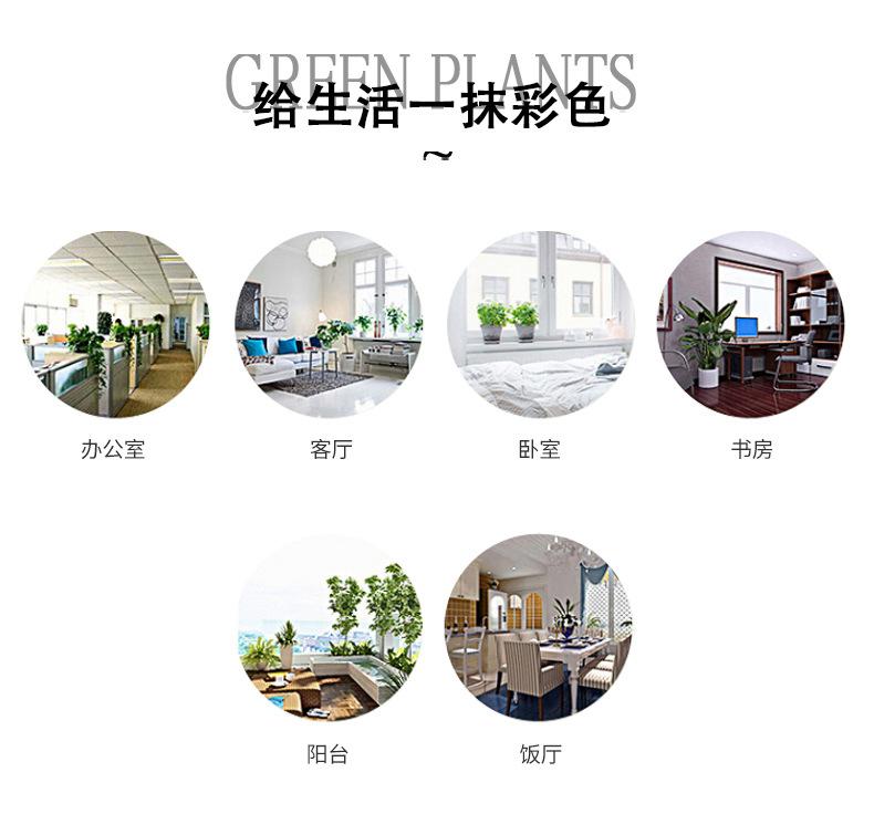 通用详情_04.jpg