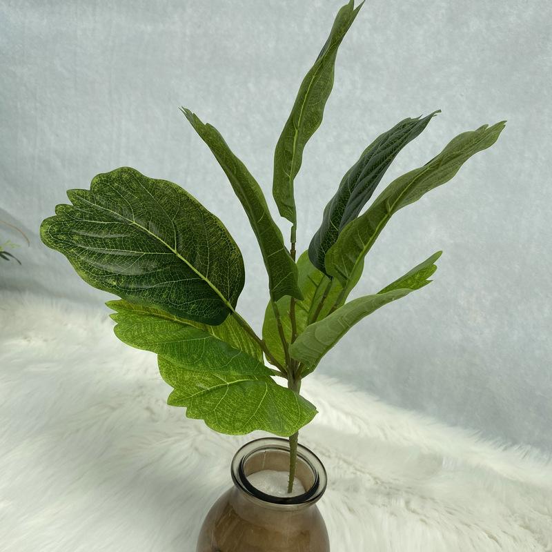 9叉绿蜻蜓.JPG