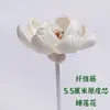 Varilla de Fragancia de Agua Floral Famosa en Internet, Ratán de Fibra, Difusor de Perfume de Flor de Tongcao, Flor Difusora de Aroma, Herramienta de Evaporación de Aceites Esenciales