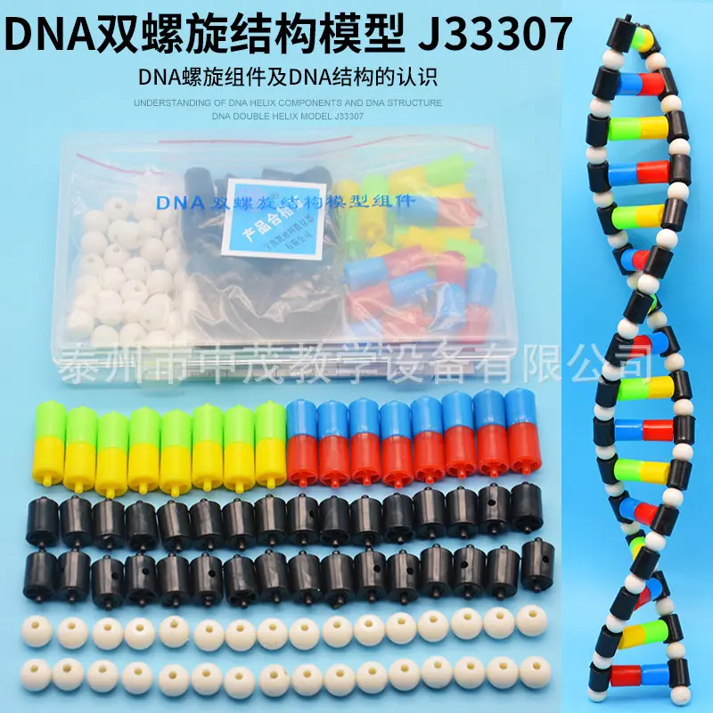 DNA (2).jpg
