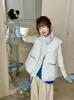 Outono/Inverno 2026 Novo Estilo Coreano Gola Alta Colete de Penas Feminino Roupa Externa Curto Bolso Grande Colete Gilet Roupa Externa