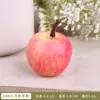 Modelo de Manzana Roja Verde Simulación Espuma Fruta Falsa Verduras Accesorios Educación Temprana Juguetes de Jardín de Infancia Decoración Fotografía Adornos