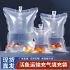 Sombrero, Pez Pequeño, Algas, Bolsa Protectora con Amortiguación a Prueba de Golpes Oxigenada, Bolsa Inflable Especial a Prueba de Humedad para Logística, Columna de Aire para Plantas Acuáticas