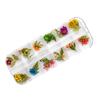 Nuevo Estilo Japonés y Coreano Arte de Uñas Flor Seca 12 Margarita Grácil Narciso Pegatina de Pollo Flor de Color Joyería para Uñas Transfronterizo
