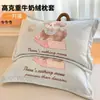 Funda de Almohada de Terciopelo de Leche Engrosada 48X74cm Paquete Doble Invierno para Niños y Adultos Funda Interior para Almohada Individual del Hogar