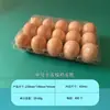 Bandeja de Huevos de Plástico Desechable con Broche y Tapa, Caja de Embalaje de Huevos Transparente a Prueba de Golpes, Venta Directa del Fabricante para Supermercados