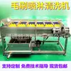 Máquina lavadora de cepillo para limpieza de lodo de ostra y vieira Temai, rodillo de pelo para frutas y verduras paralelo, máquina lavadora peladora en stock, suministro