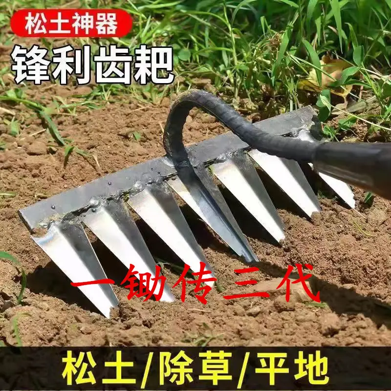 zt1