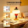 Luminária de Mesa para Quarto Infantil Dopamine Toque de Alto Padrão Presente de Aniversário Inauguração Luz Noturna Atmosférica Fofa Recarregável Lâmpada de Mesa Ferro