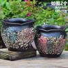 Vaso de Flor Carnudo Pequeno Defeito Panela Quente Panela Cogumelo Cerâmica Diâmetro Grande Simples Planta Verde Ébano Antigo Pilha Vaso de Cerâmica de Penhasco