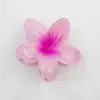 YHJ Prendedor de Cabelo Flor de Ovo Cruzado Europeu e Americano Presilha Shark Flor Colorida Retro para Penteado Alto Traseiro Feminino