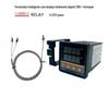 Termostato Good-I Rex-C100 Relé Relé Sonda de Temperatura 1m Parafuso M6 Temperatura Ajustável