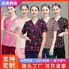 Ropa de lavado a mano, ropa quirúrgica estampada de manga corta para médicos, ropa de trabajo para salón de belleza oral para mujeres, ropa de algodón para cepillos de manos de hospital para mascotas para hombres