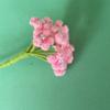 Artesanía de Ganchillo de Hilo de Rosa Puntiaguda Simulada Transfronteriza Ramo Semiacabado Regalo Venta al por Mayor Flor Simulada Venta al por Mayor